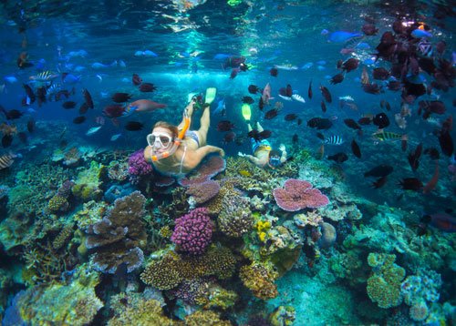 vanuatu buy second passport