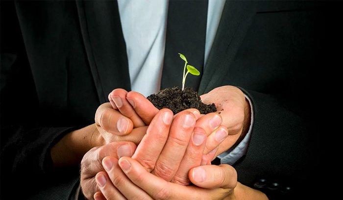 key-decisions-family-offices